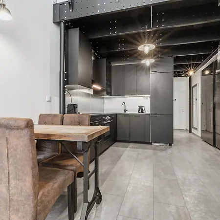 Industrial Loft Retreat W Ac And Garage Parking ברטיסלאבה